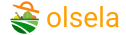 Olsela